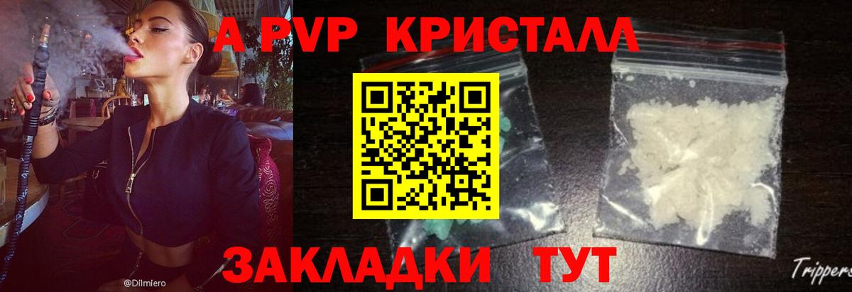 A PVP крисы CK Тельмана